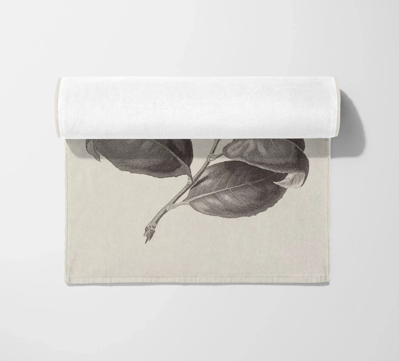 Camellia Sketch no. 1 telo mare da apoloprints