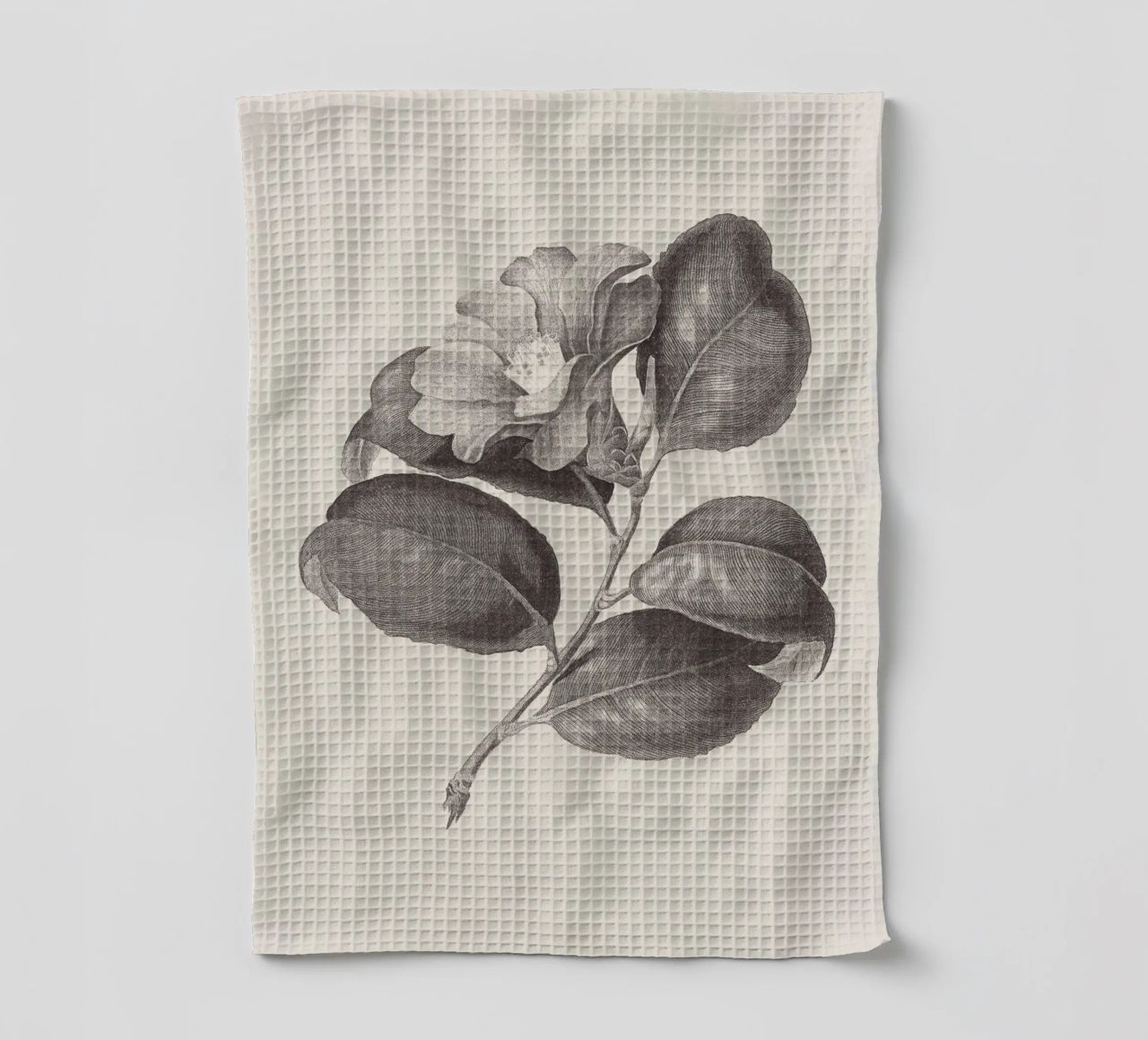 Camellia Sketch no. 1 canovaccio da cucina da apoloprints