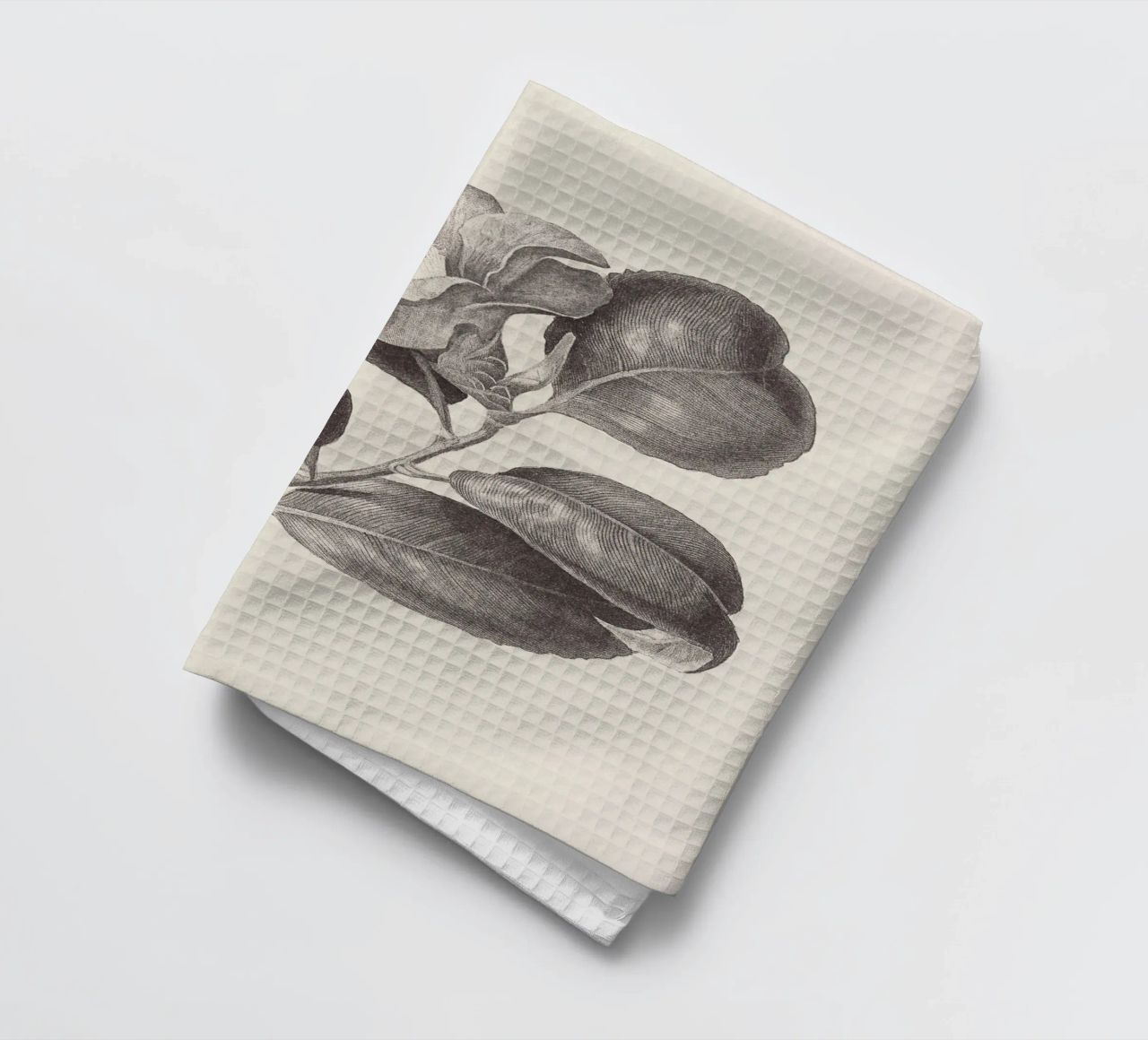Camellia Sketch no. 1 canovaccio da cucina da apoloprints
