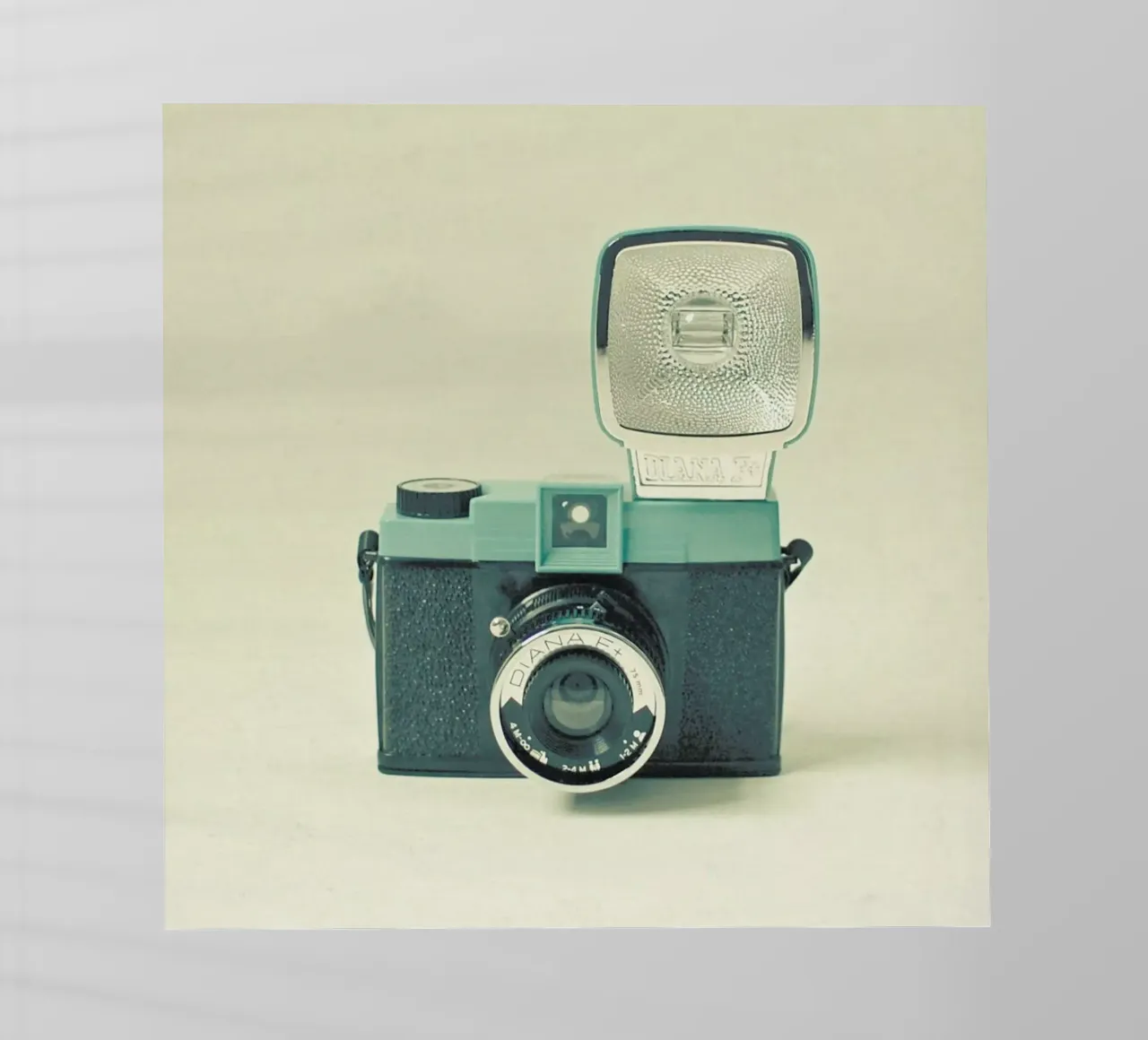 Sweet Diana backlit film by Cassia Beck Photography