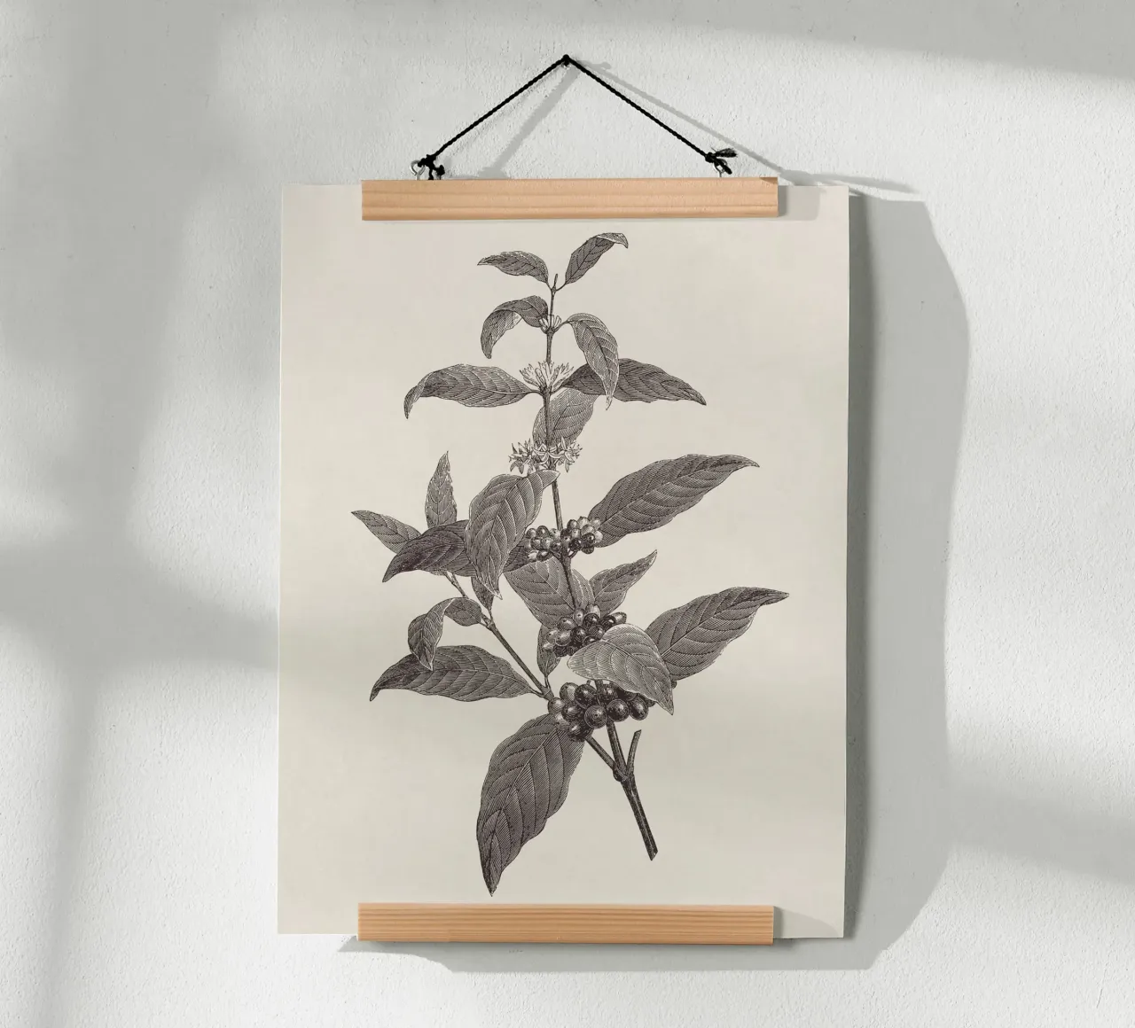 Coffee Branch Sketch no. 2 poster de apoloprints