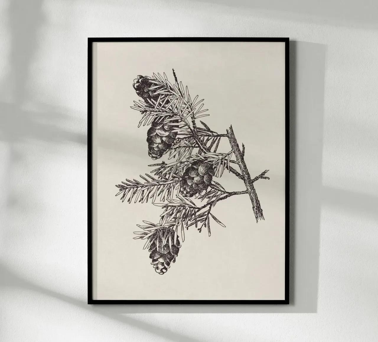 Hemlock Pinecone Sketch carta hahnemühle da apoloprints