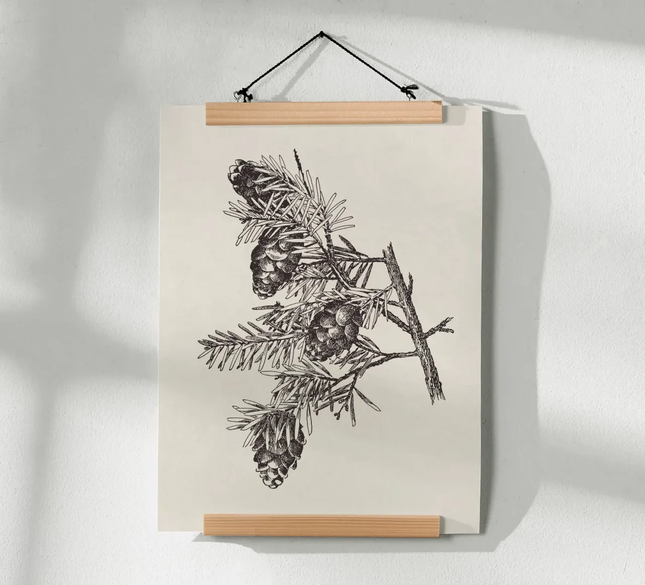 Hemlock Pinecone Sketch carta hahnemühle da apoloprints