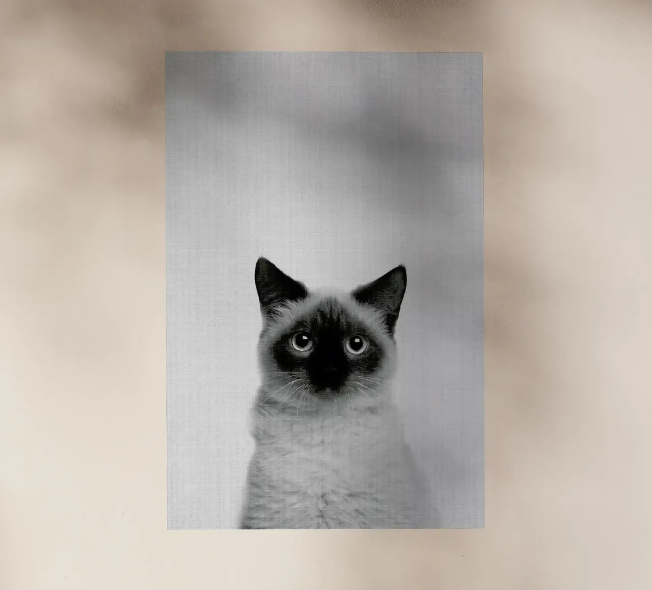 Print 71 pellicola backlit da Lila & Lola