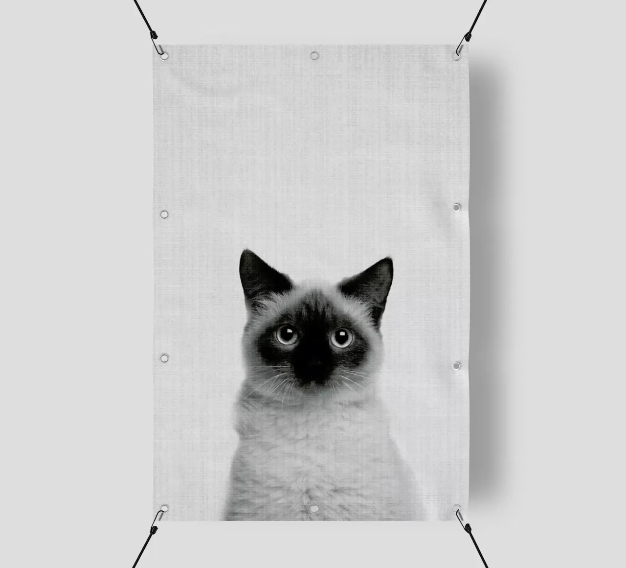 Print 71 telo in pvc da Lila & Lola