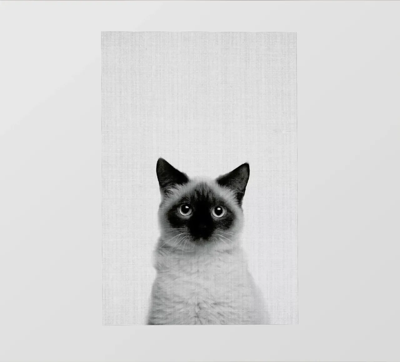 Print 71 telo in pvc da Lila & Lola