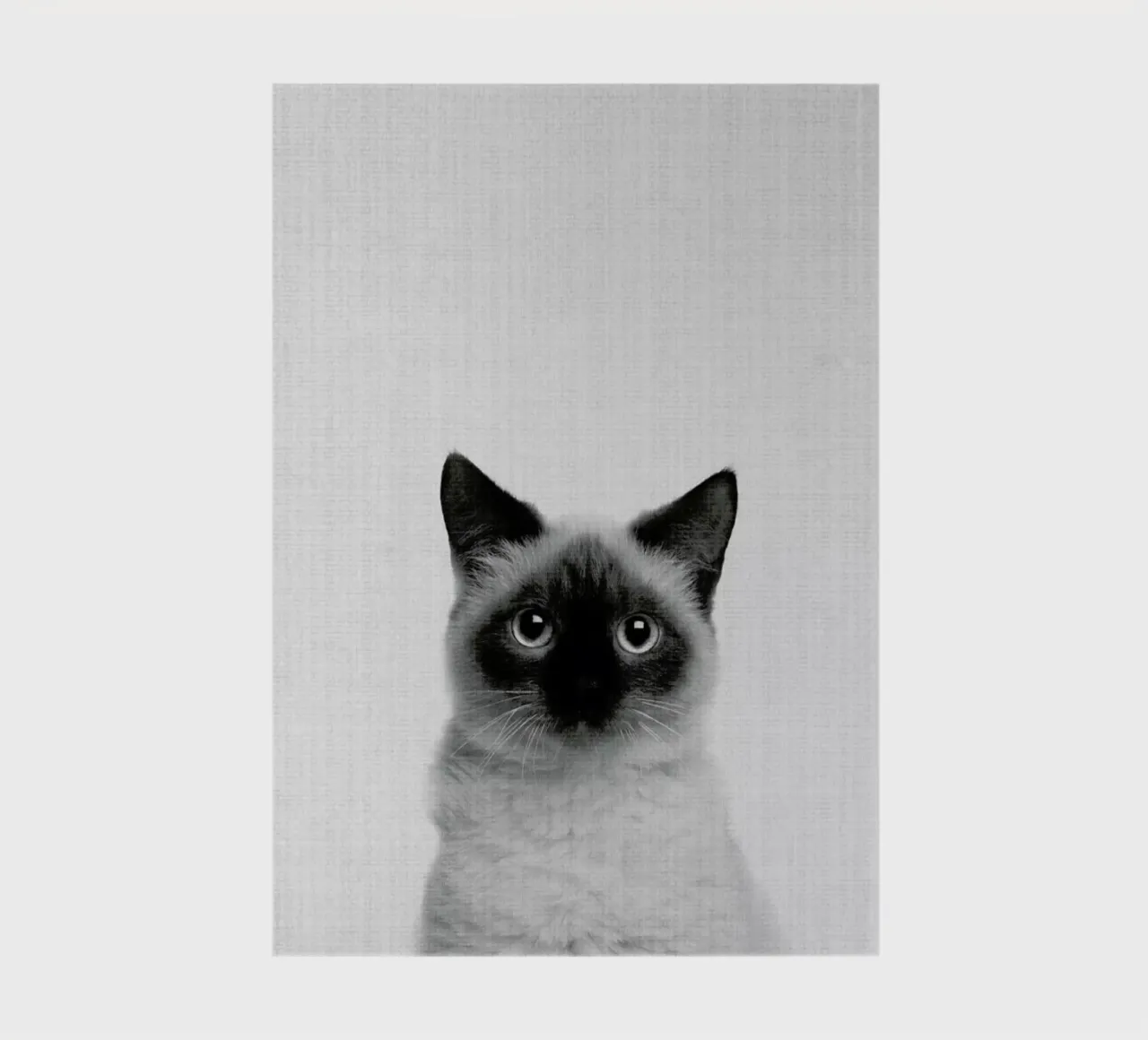 Print 71 notebook by Lila x Lola