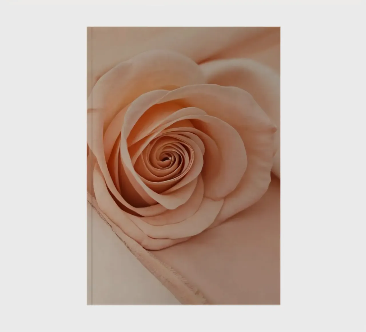 Soft peach rose resting on delicate fabric notebook by DesignDoodle