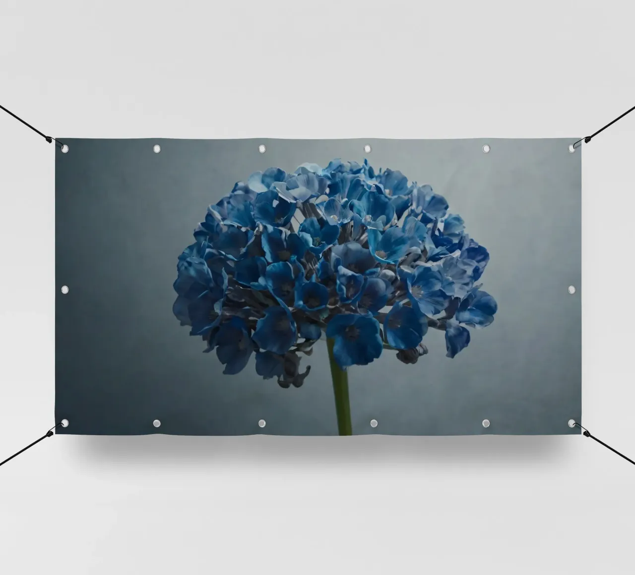 Hortensia bleu vif fleurissant sur un fond texturé bâche pvc de DesignDoodle