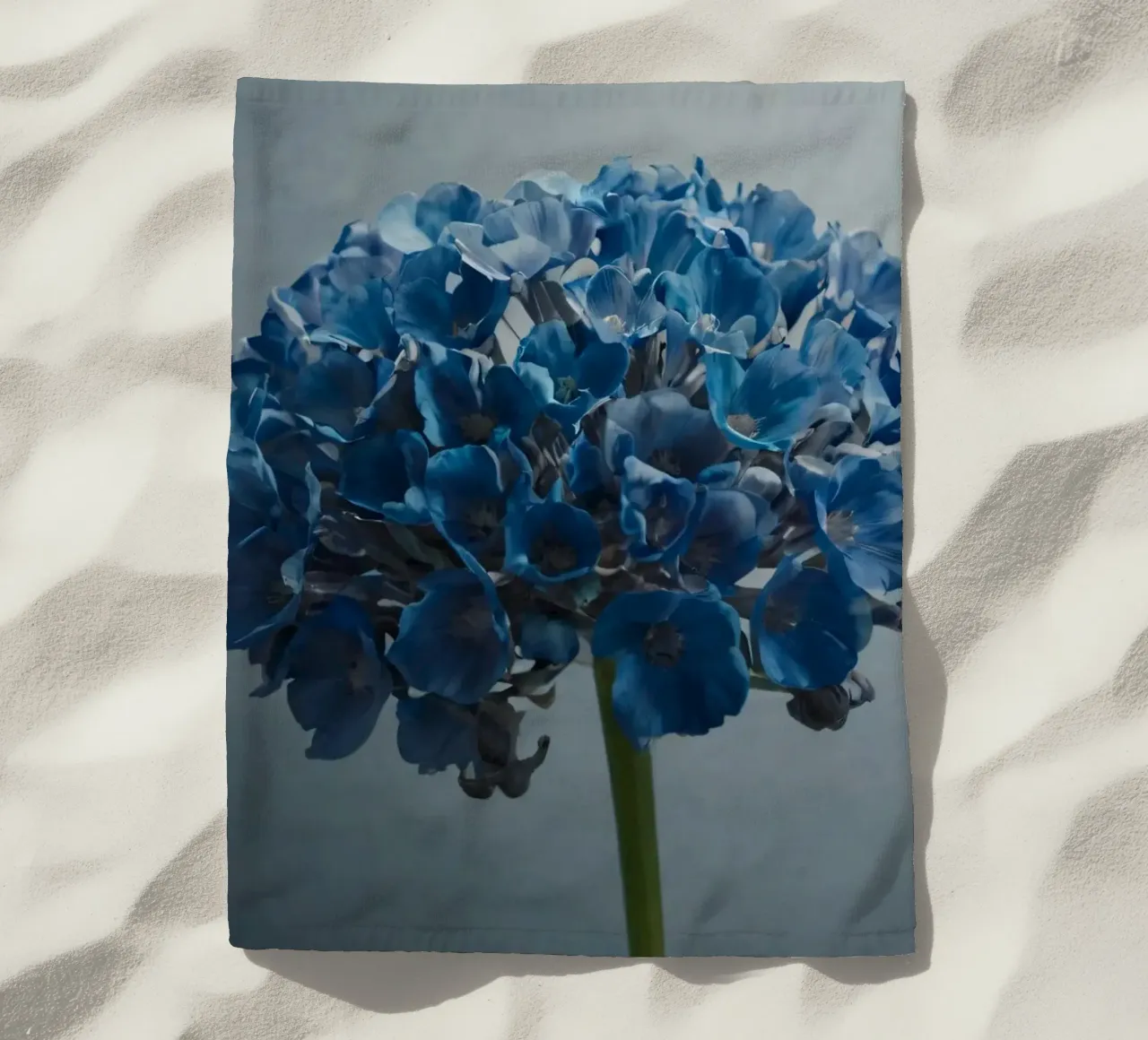 Hortensia bleu vif fleurissant sur un fond texturé serviette de plage de DesignDoodle