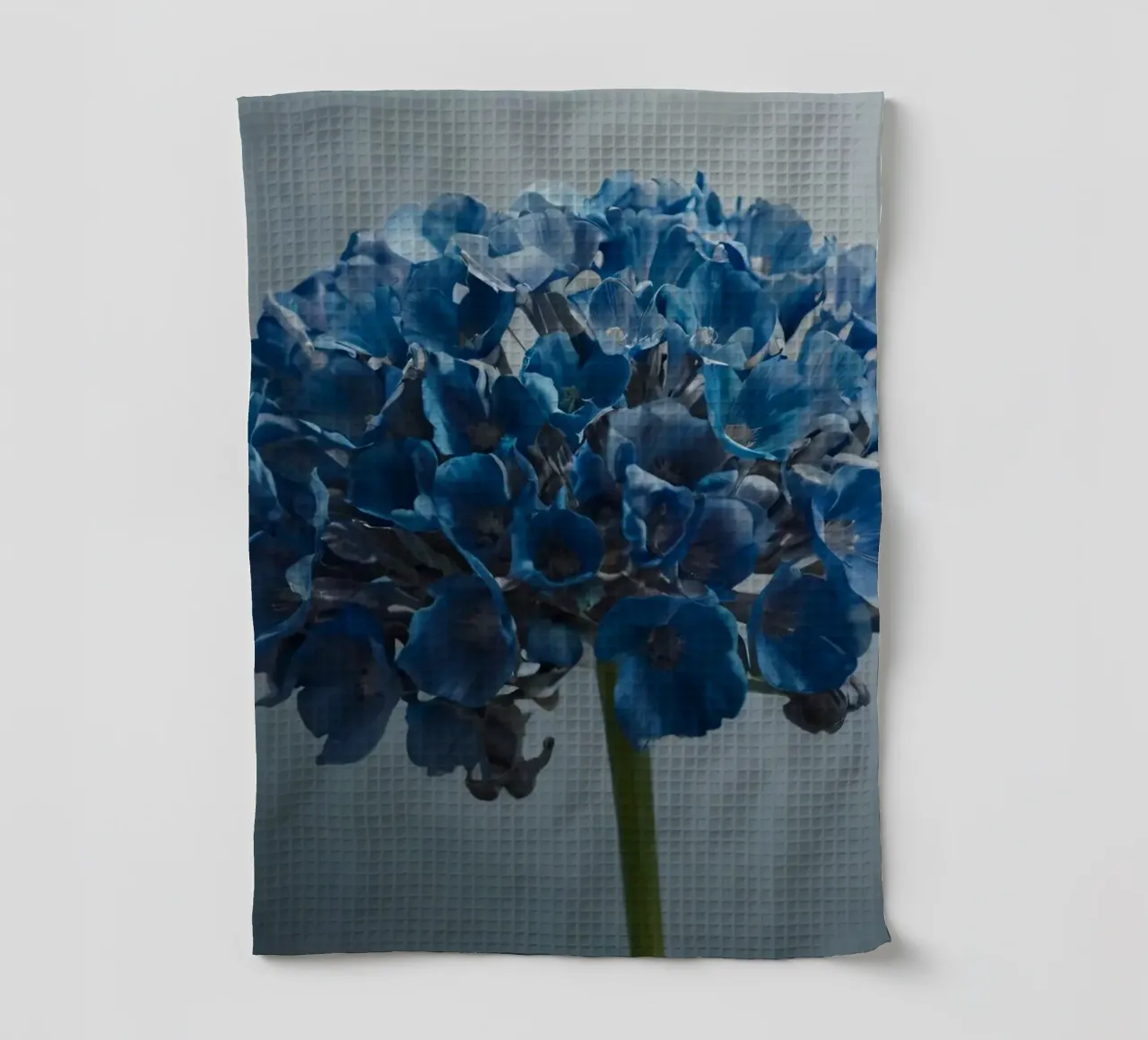 Hortensia bleu vif fleurissant sur un fond texturé torchon de DesignDoodle