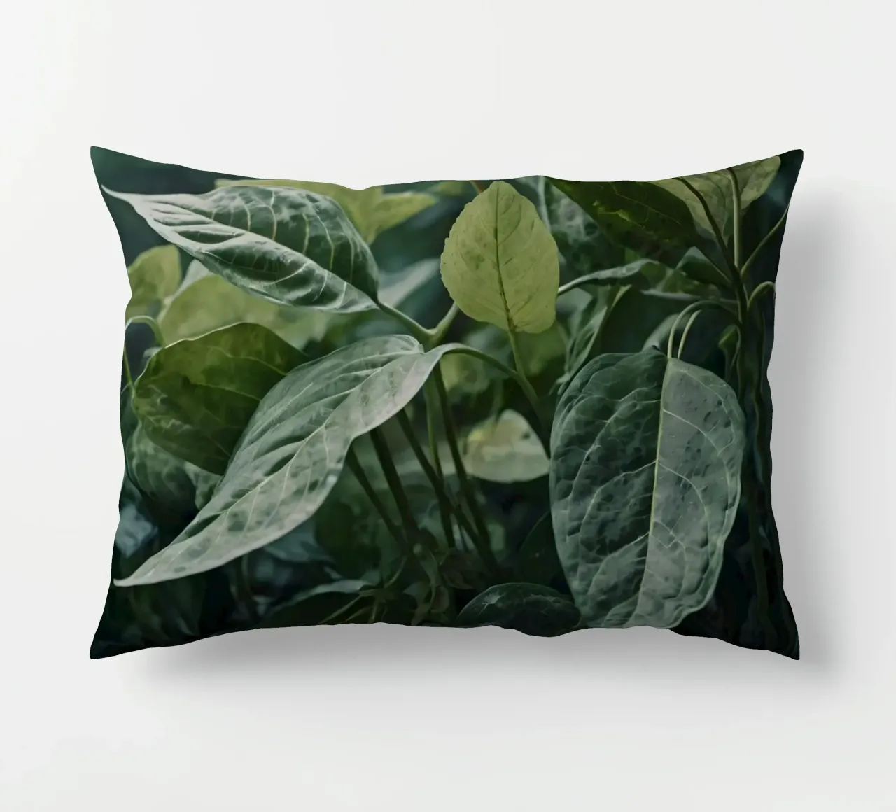 Foglie verdi e lussureggianti con texture diverse in un ambiente naturale e tranquillo. cuscino da DesignDoodle