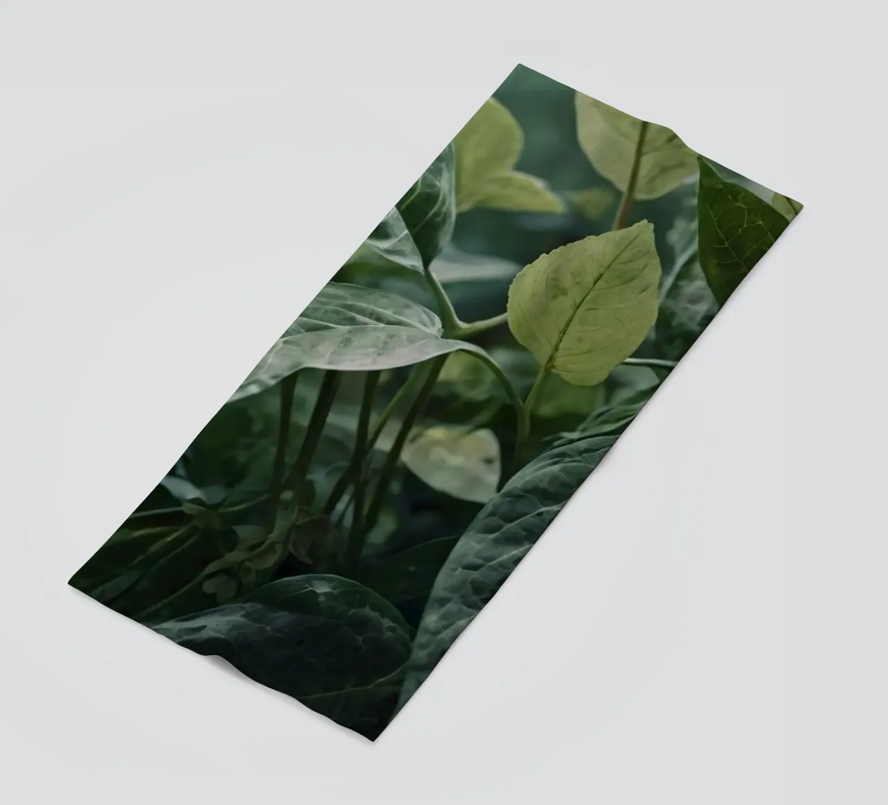 Foglie verdi e lussureggianti con texture diverse in un ambiente naturale e tranquillo. telo mare da DesignDoodle