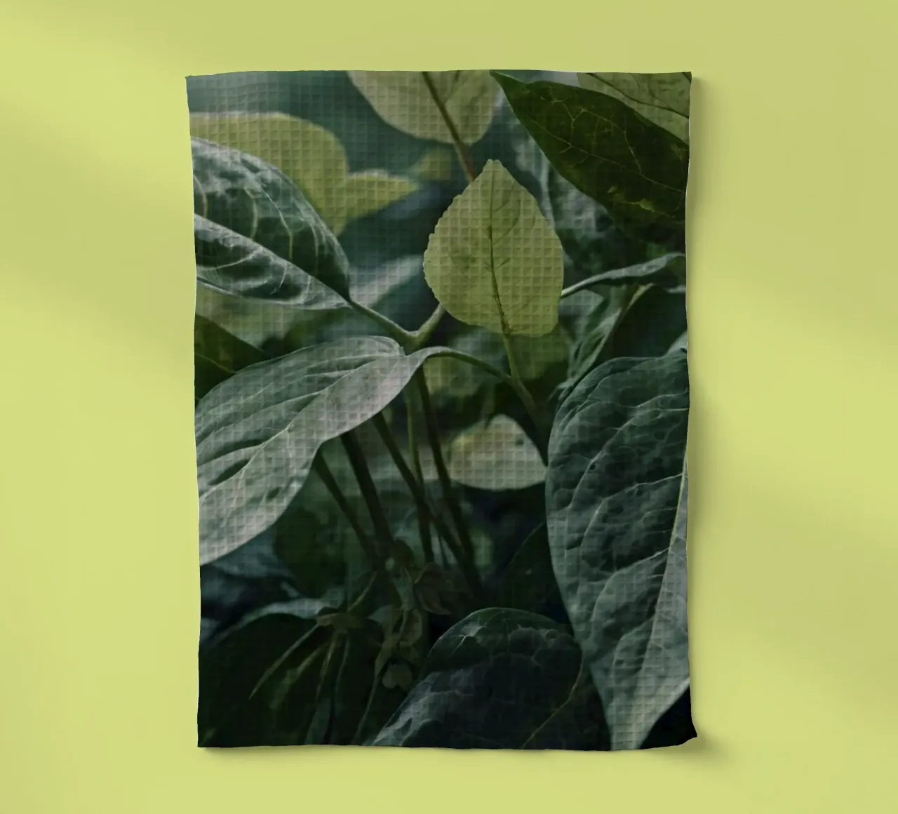 Foglie verdi e lussureggianti con texture diverse in un ambiente naturale e tranquillo. canovaccio da cucina da DesignDoodle