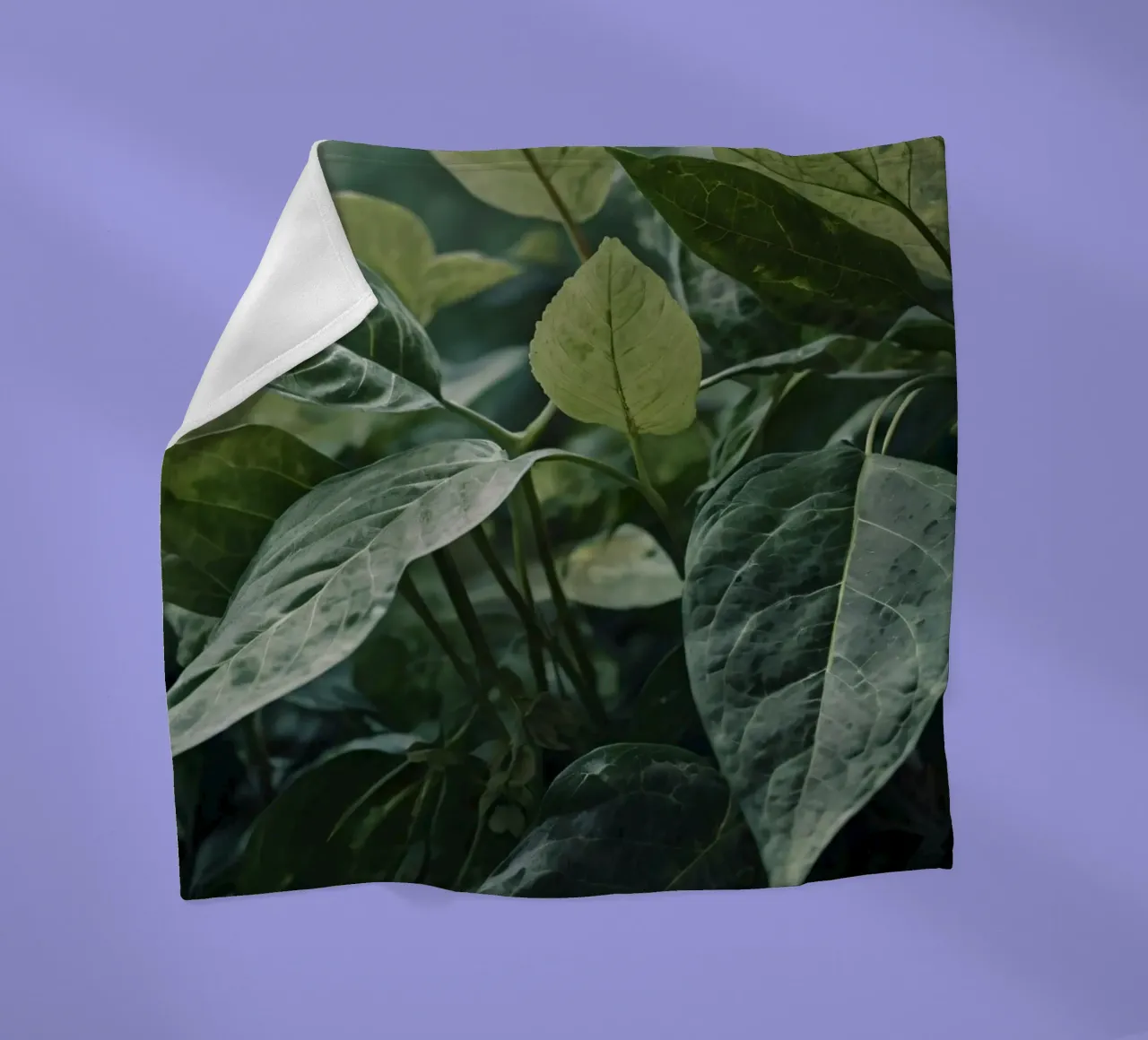 Foglie verdi e lussureggianti con texture diverse in un ambiente naturale e tranquillo. coperta in pile da DesignDoodle