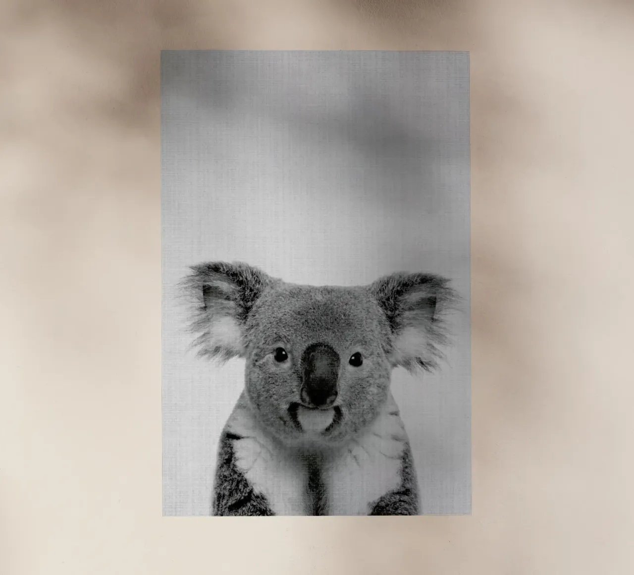 Print 67 pellicola backlit da Lila & Lola