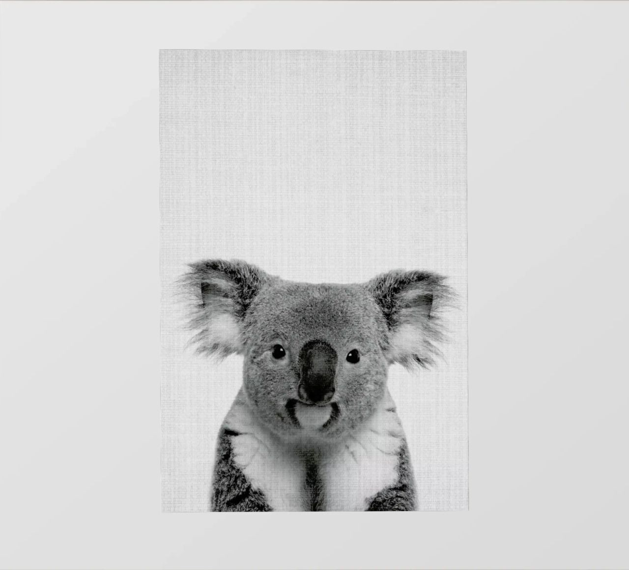 Print 67 pellicola backlit da Lila x Lola