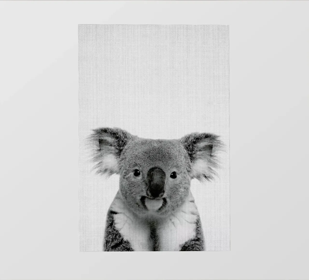 Print 67 pellicola backlit da Lila x Lola
