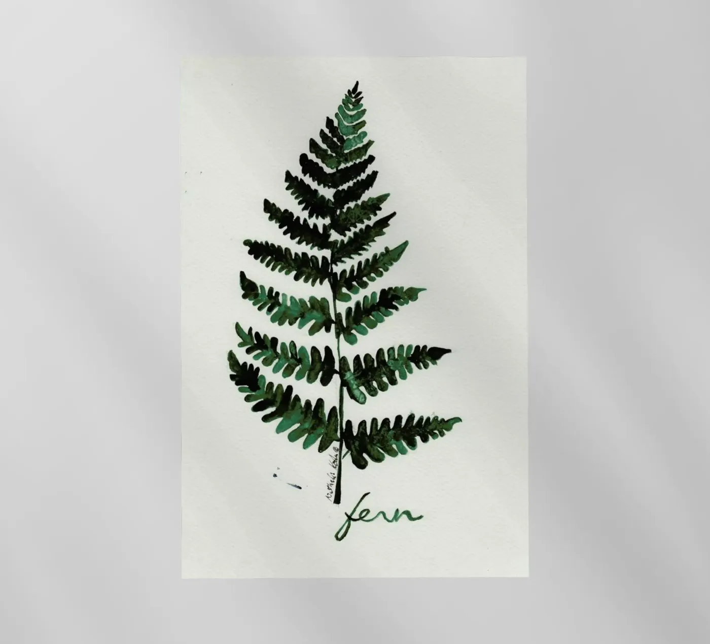 Fern pellicola backlit da Nathys_illustration