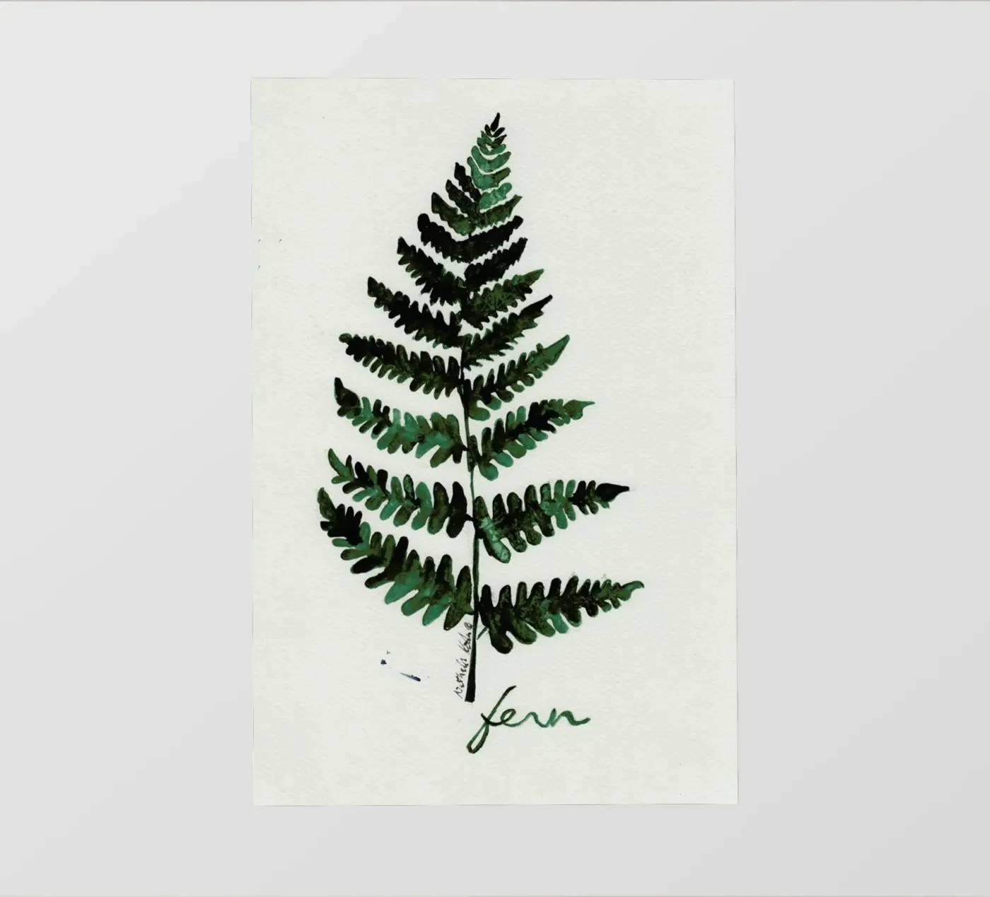 Fern pellicola backlit da Nathys_illustration