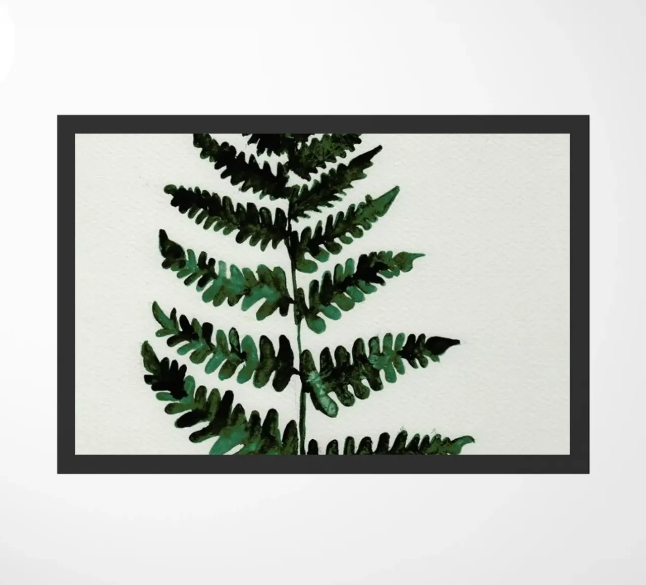 Fern zerbino da Nathys_illustration