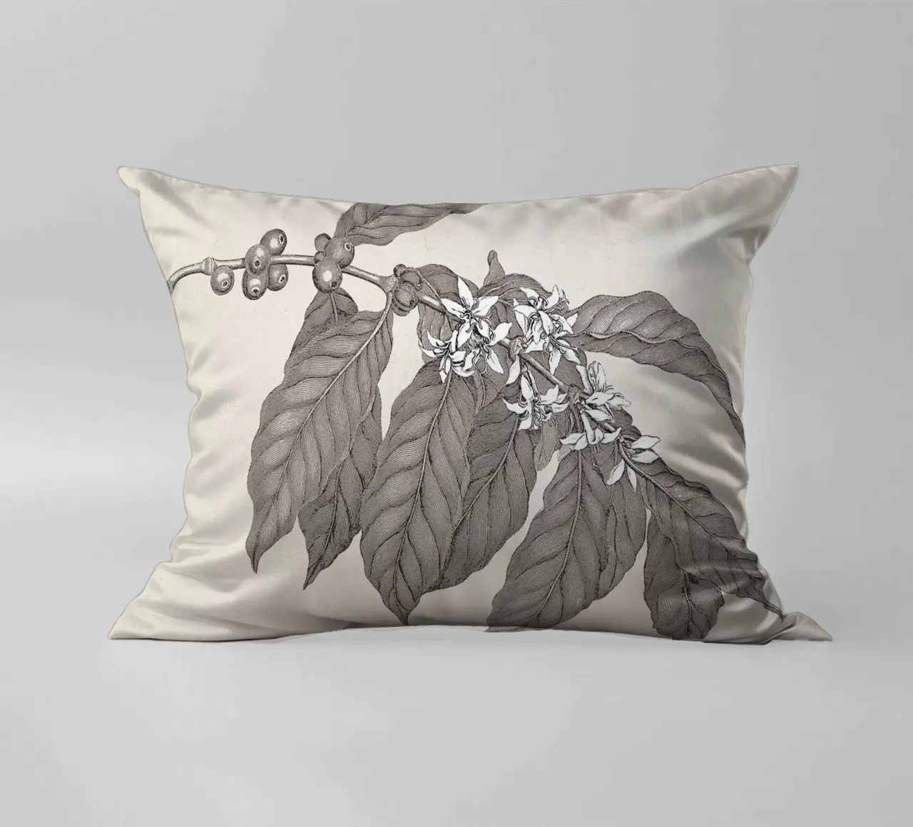 Coffee Branch Sketch no. 3 cuscino da apoloprints