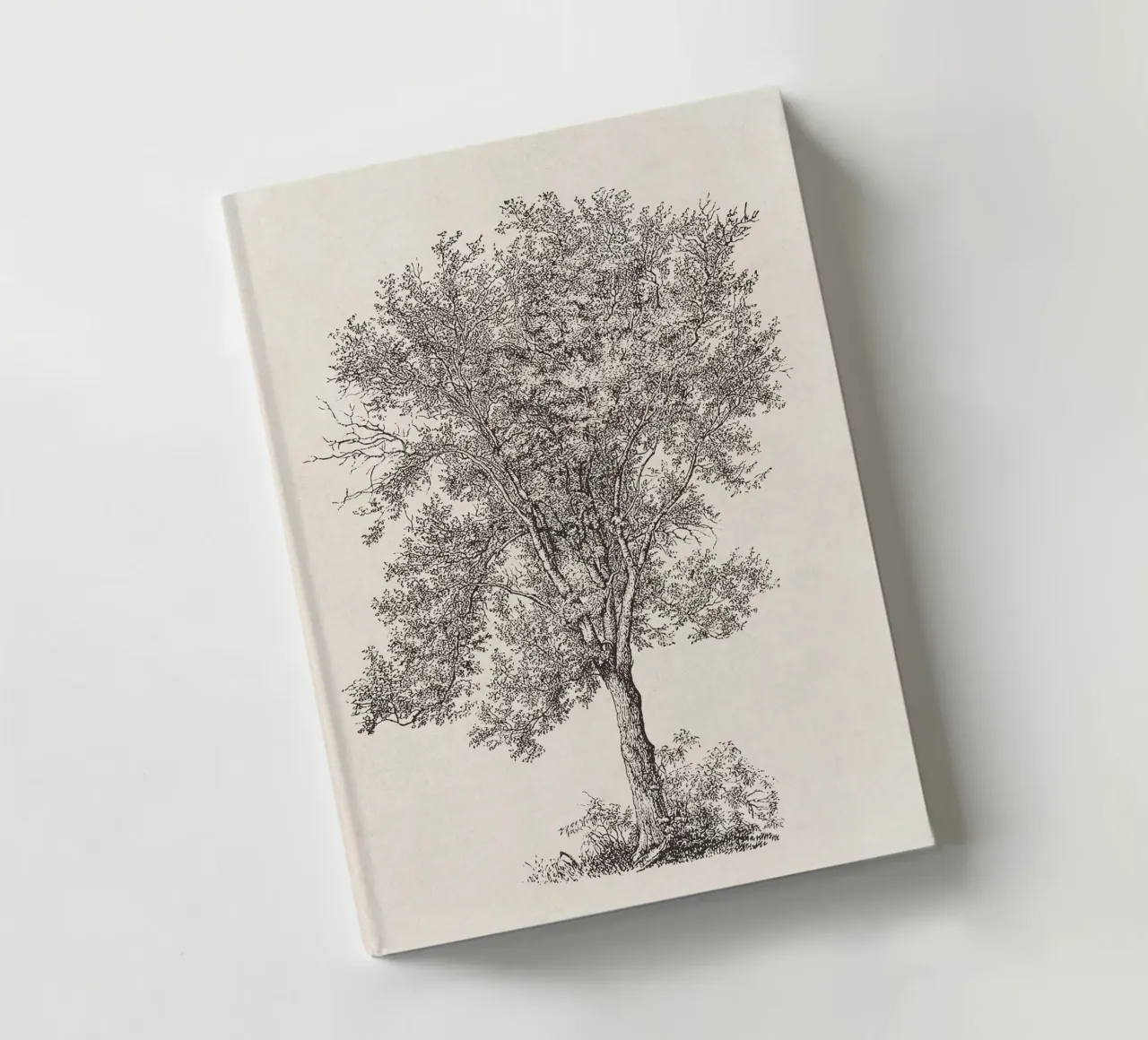Tree Sketch - Aspen notebook by apoloprints