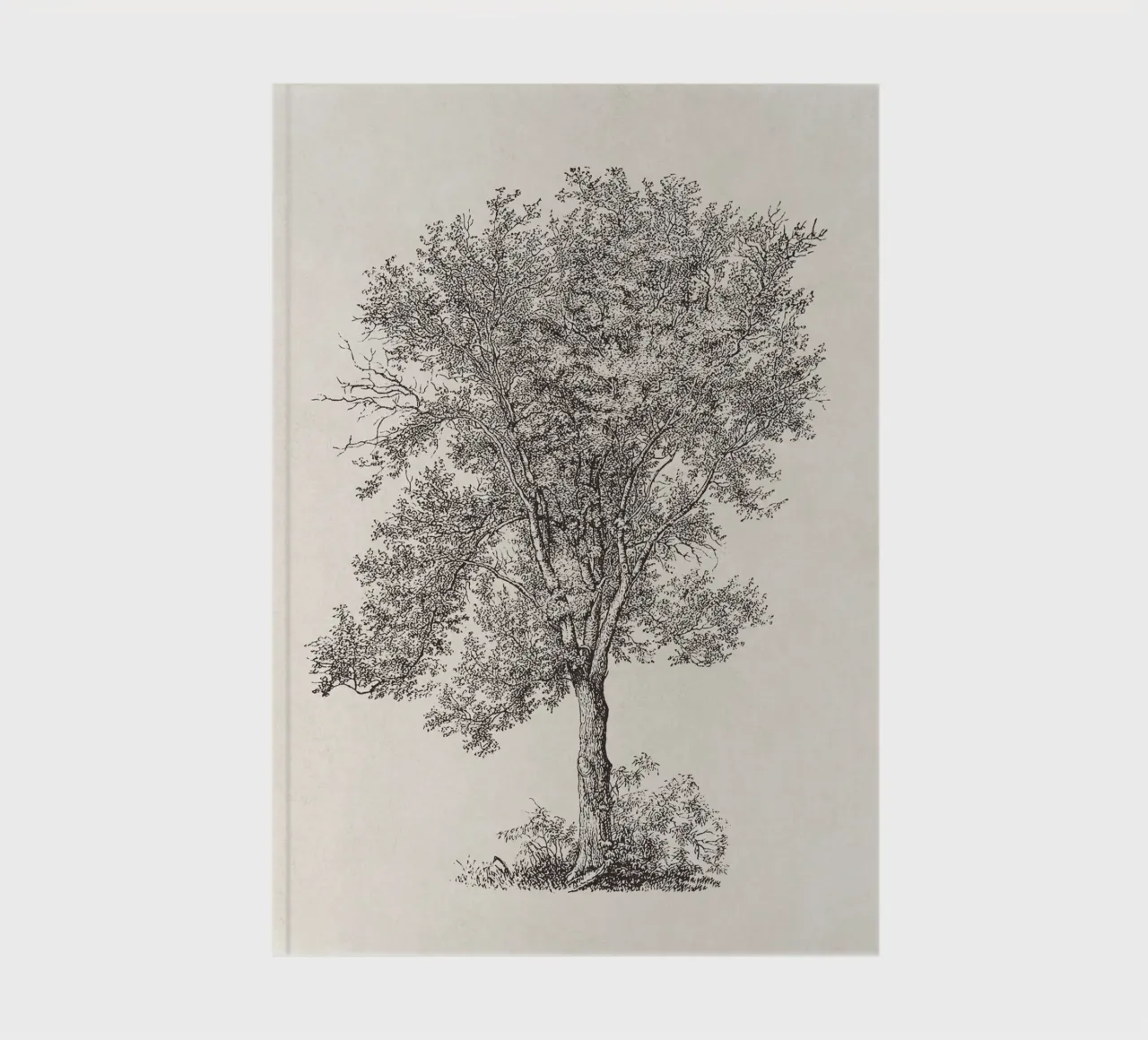 Tree Sketch - Aspen notebook by apoloprints