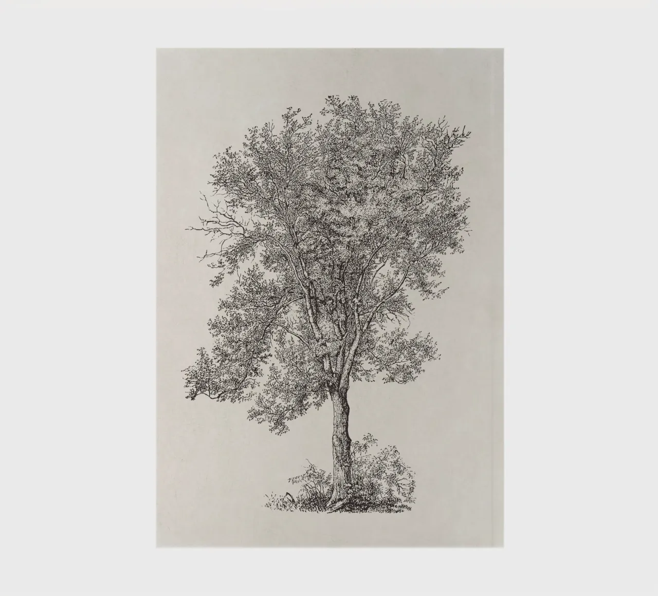 Tree Sketch - Aspen notebook by apoloprints