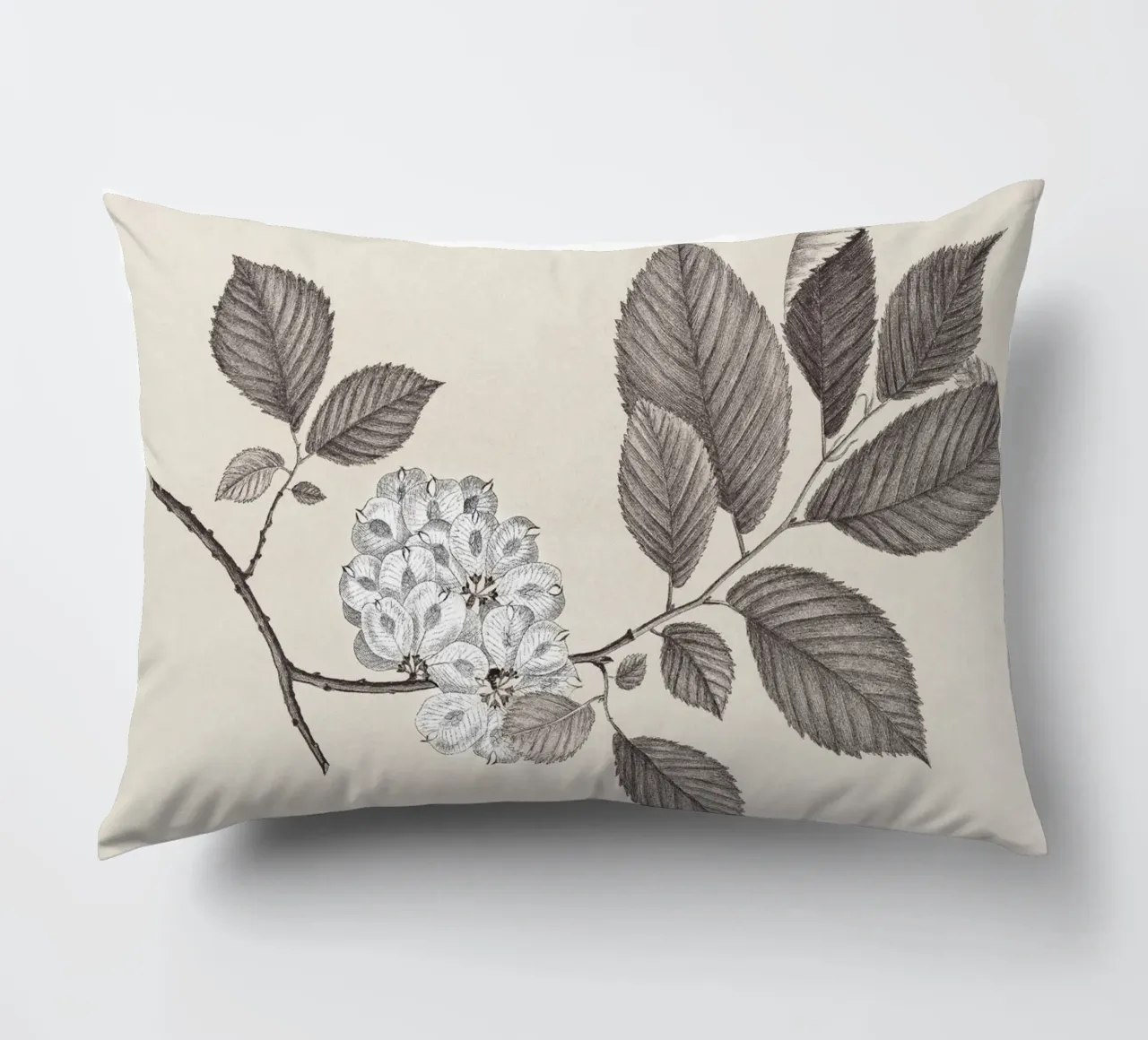 Elm Branch Sketch no. 1 cuscino da apoloprints