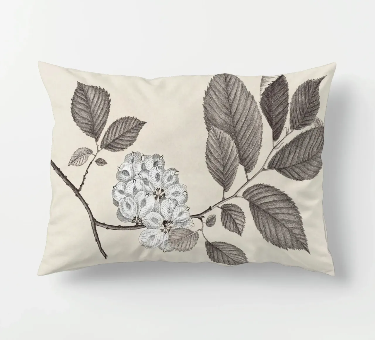 Elm Branch Sketch no. 1 cuscino da apoloprints