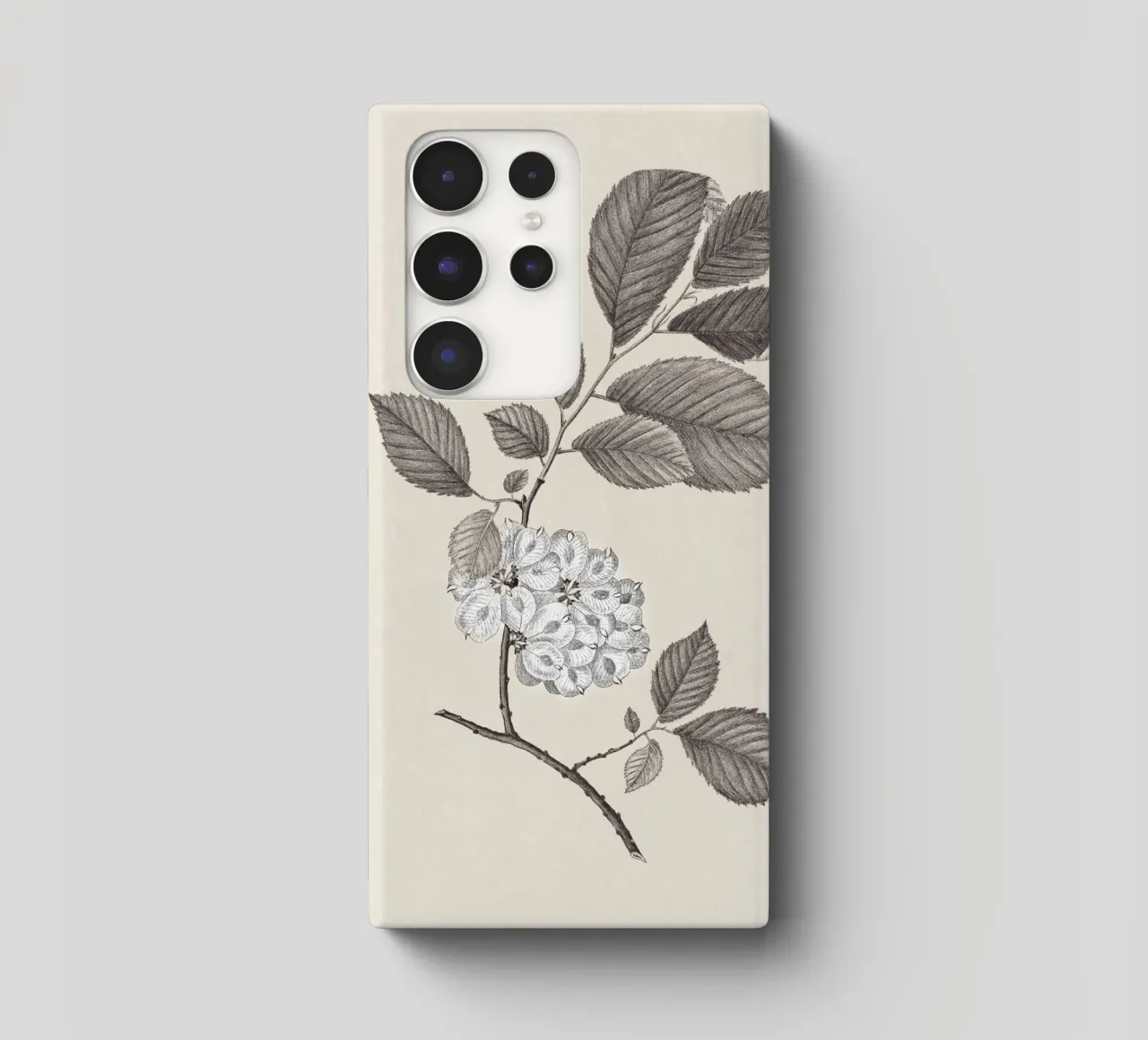 Elm Branch Sketch no. 1 cover samsung da apoloprints