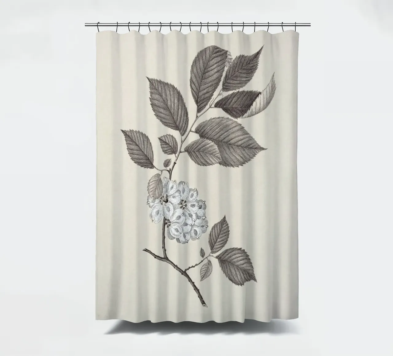 Elm Branch Sketch no. 1 tenda da doccia da apoloprints