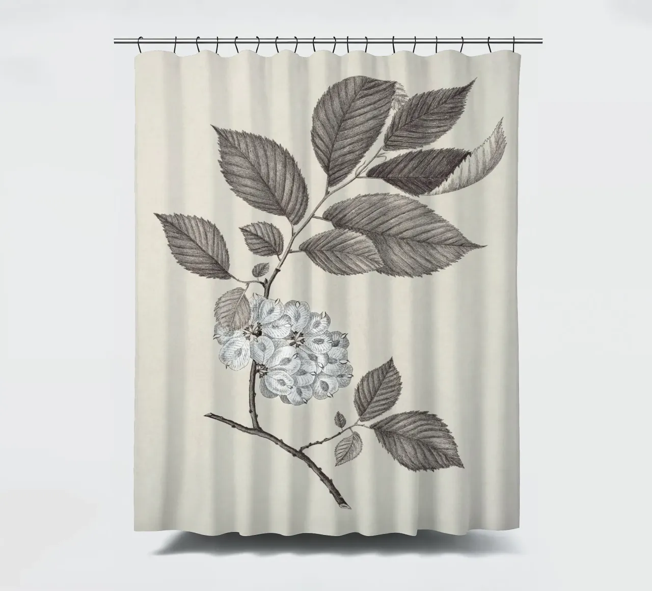 Elm Branch Sketch no. 1 tenda da doccia da apoloprints