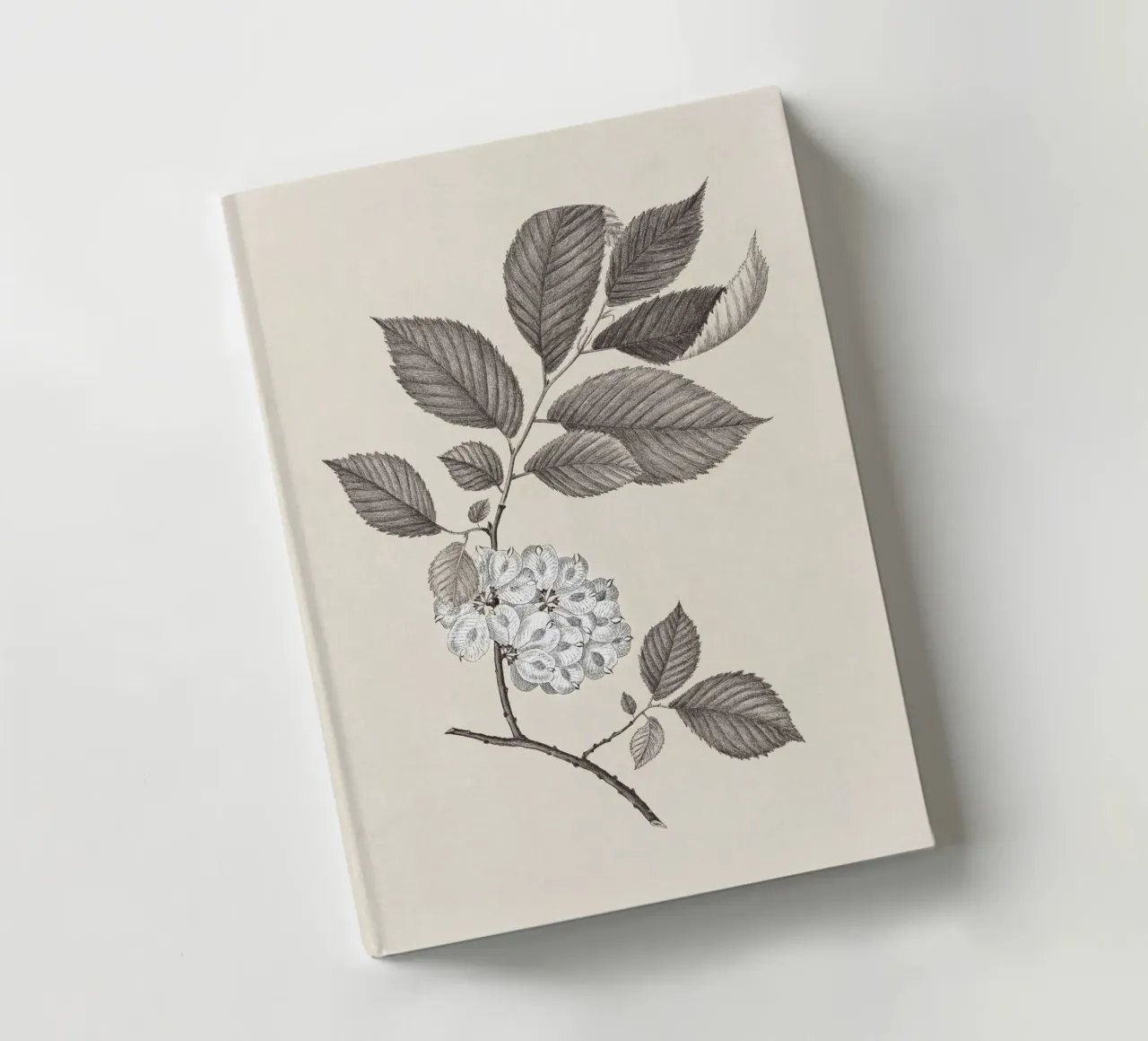Elm Branch Sketch no. 1 diario da apoloprints