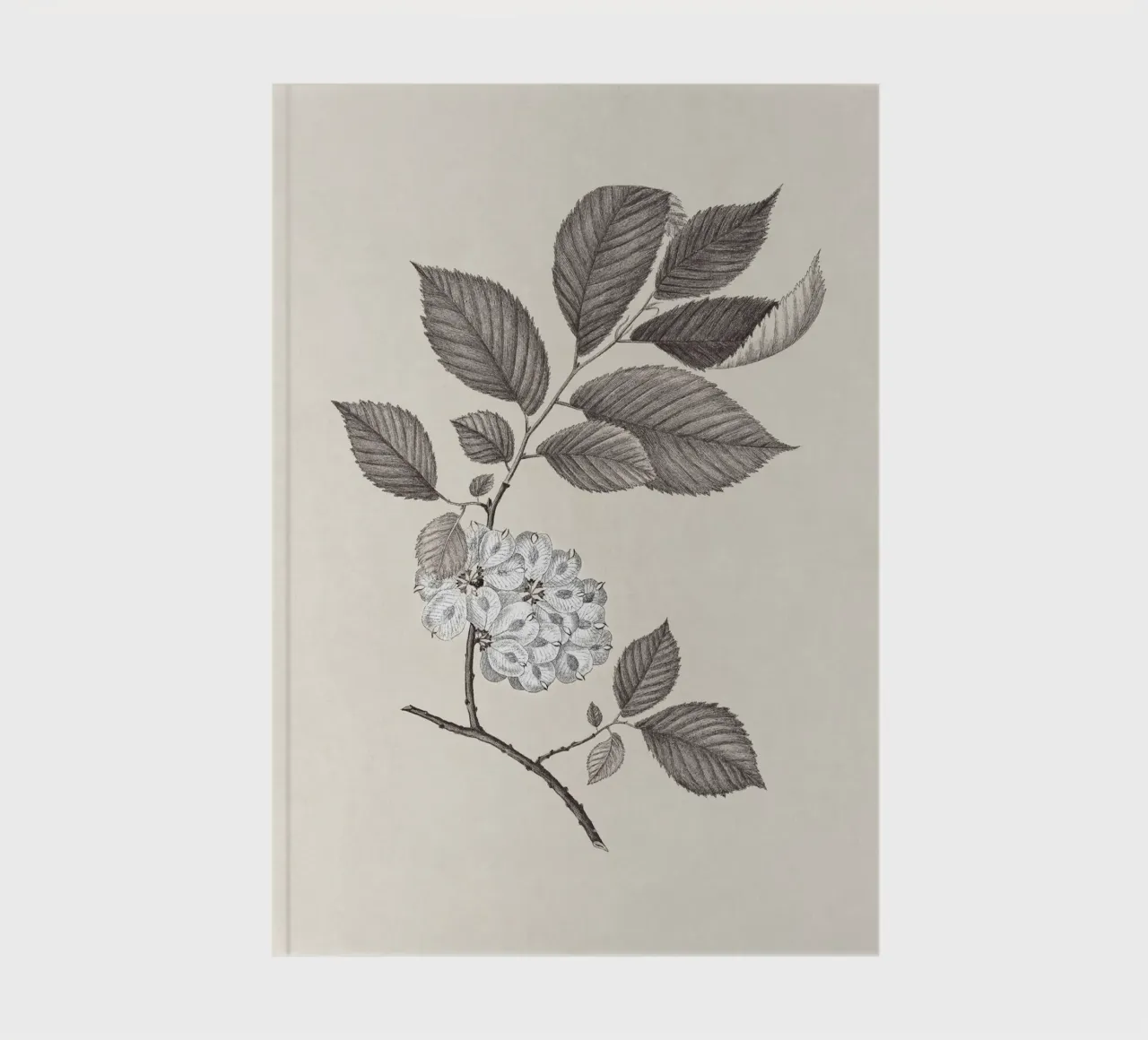 Elm Branch Sketch no. 1 diario da apoloprints
