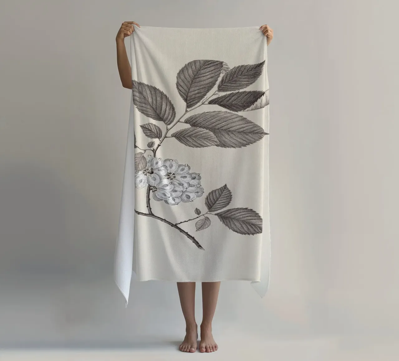 Elm Branch Sketch no. 1 telo mare da apoloprints