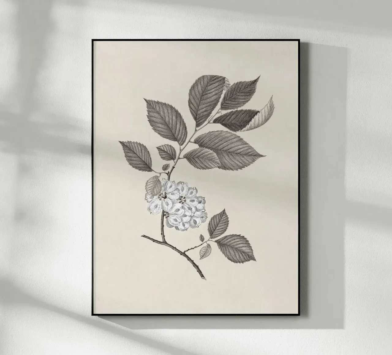 Elm Branch Sketch no. 1 plexiglass da apoloprints