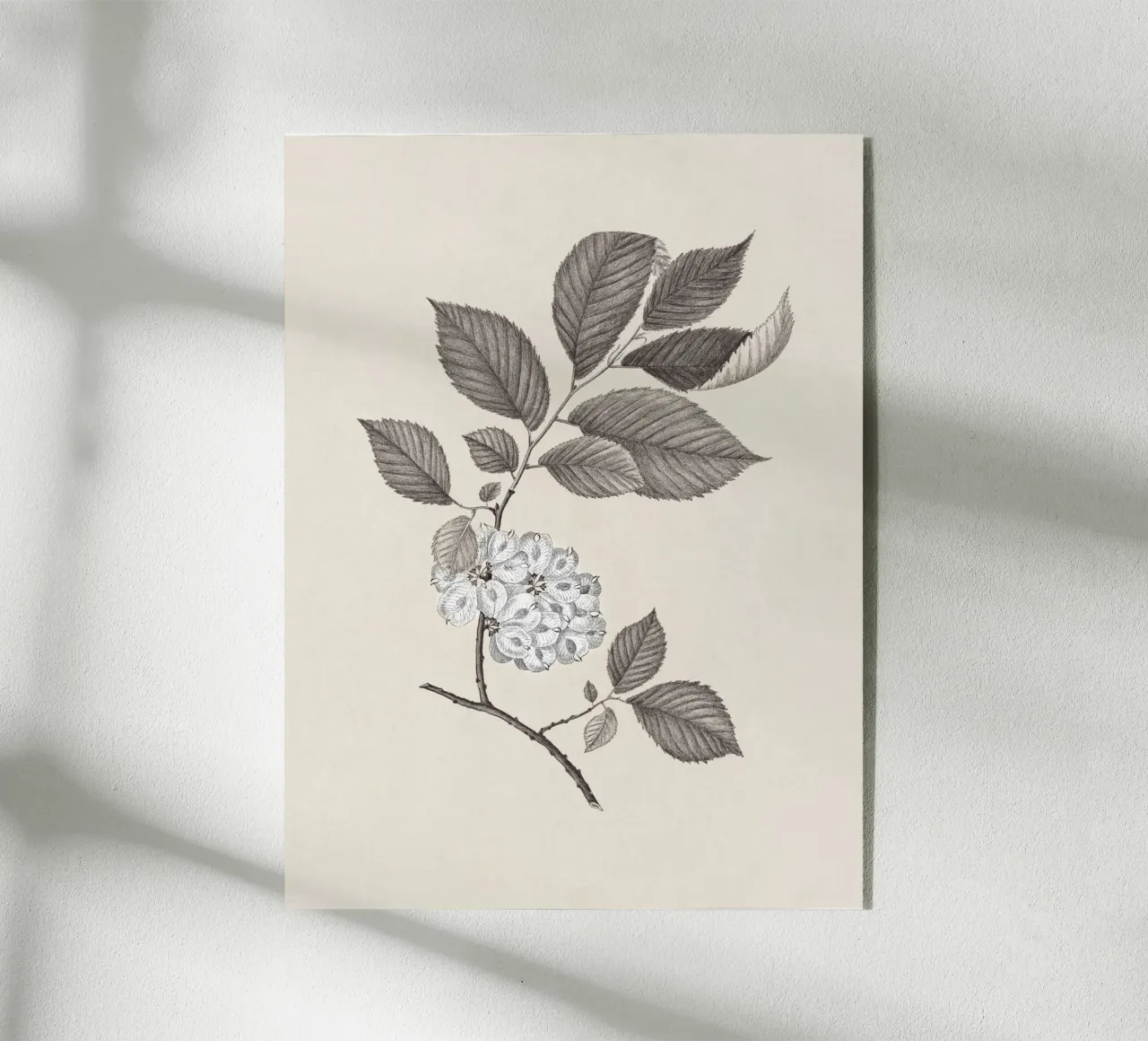 Elm Branch Sketch no. 1 plexiglass da apoloprints