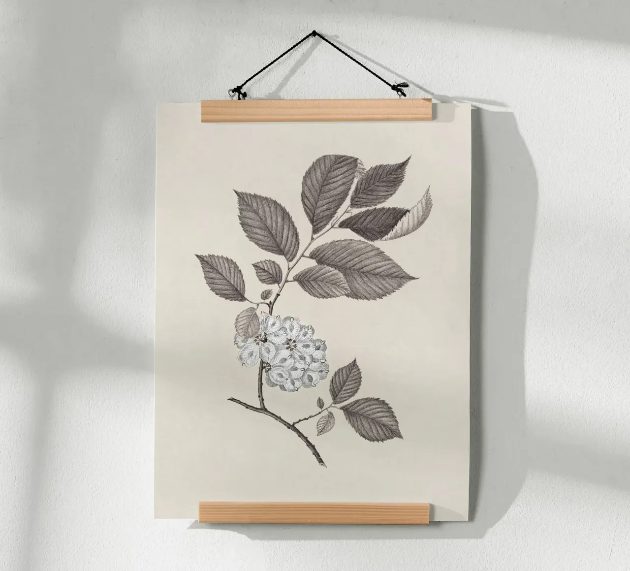 Elm Branch Sketch no. 1 carta hahnemühle da apoloprints