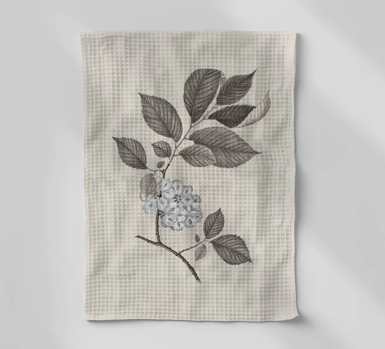 Elm Branch Sketch no. 1 canovaccio da cucina da apoloprints