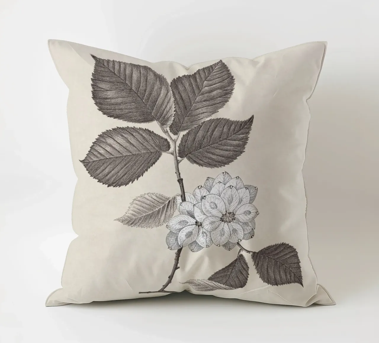 Elm Branch Sketch no. 2 cuscino da apoloprints