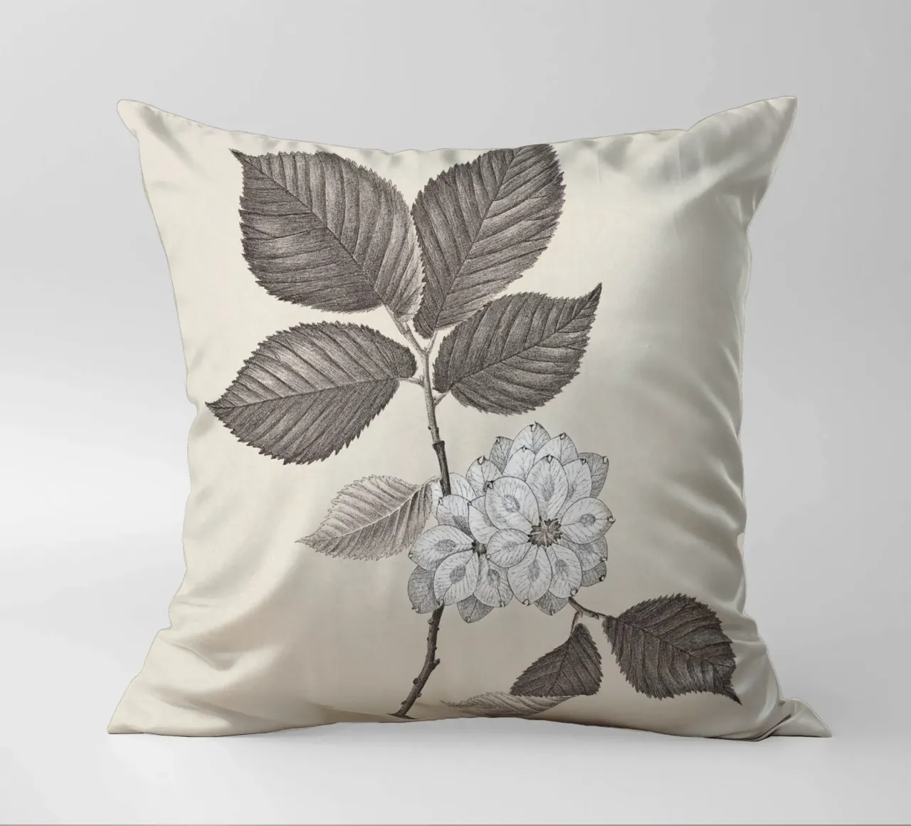 Elm Branch Sketch no. 2 cuscino da apoloprints