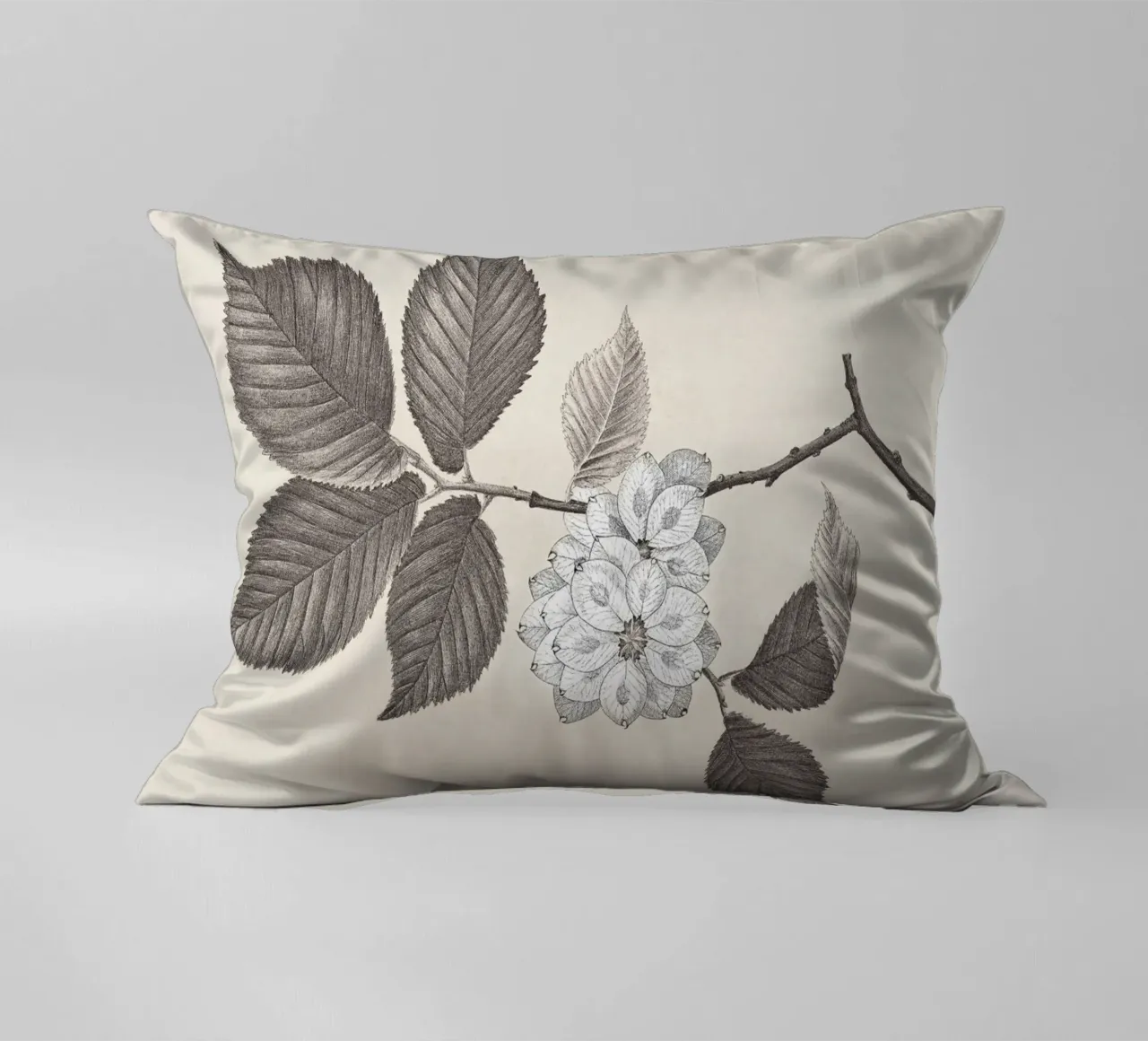 Elm Branch Sketch no. 2 cuscino da apoloprints