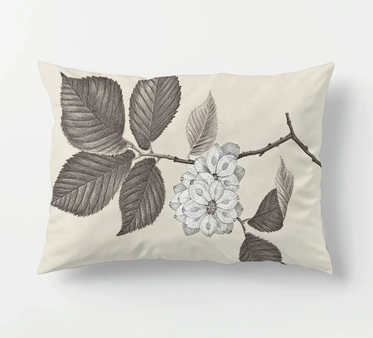 Elm Branch Sketch no. 2 cuscino da apoloprints