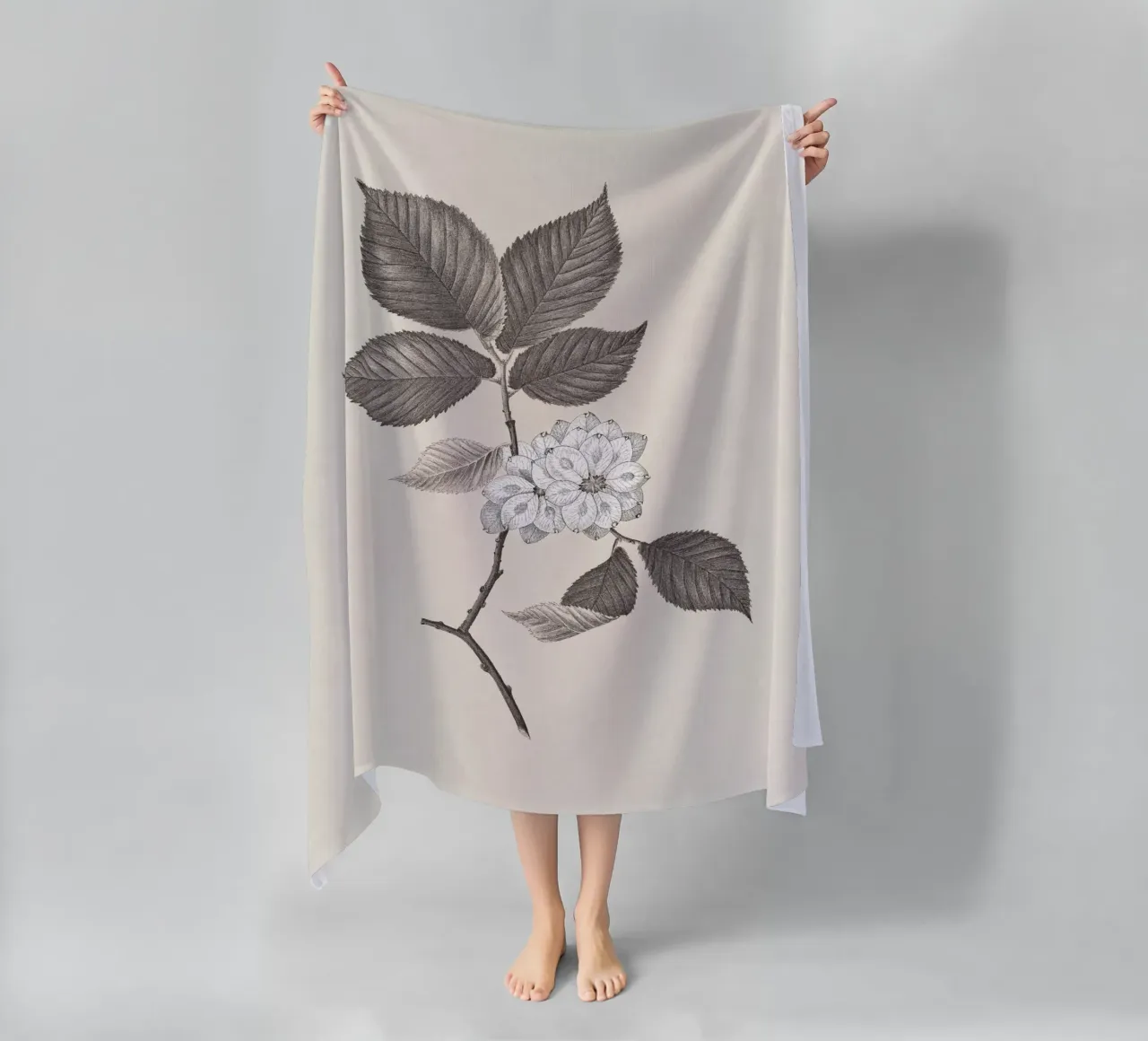 Elm Branch Sketch no. 2 telo mare da apoloprints