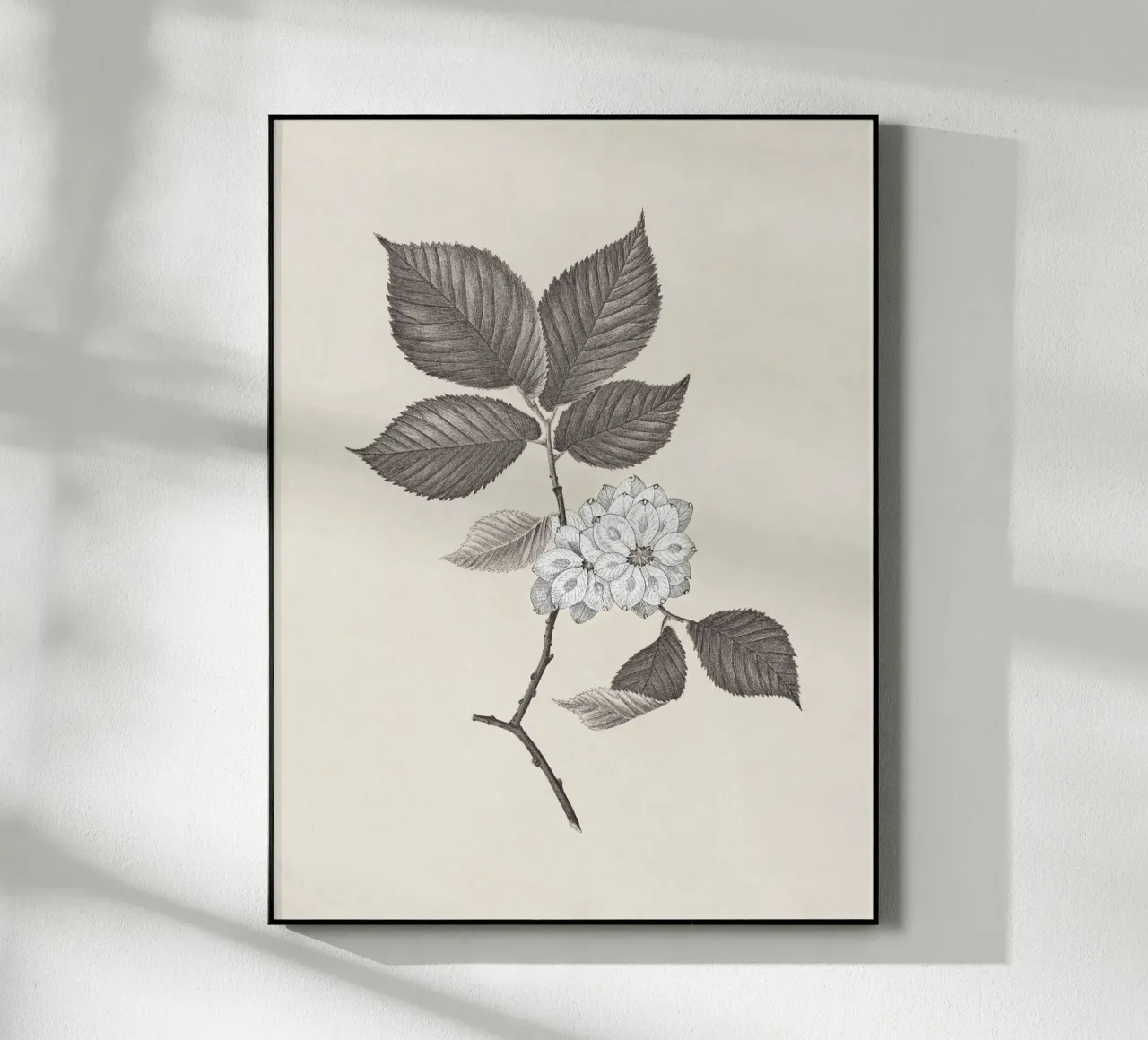 Elm Branch Sketch no. 2 plexiglass da apoloprints