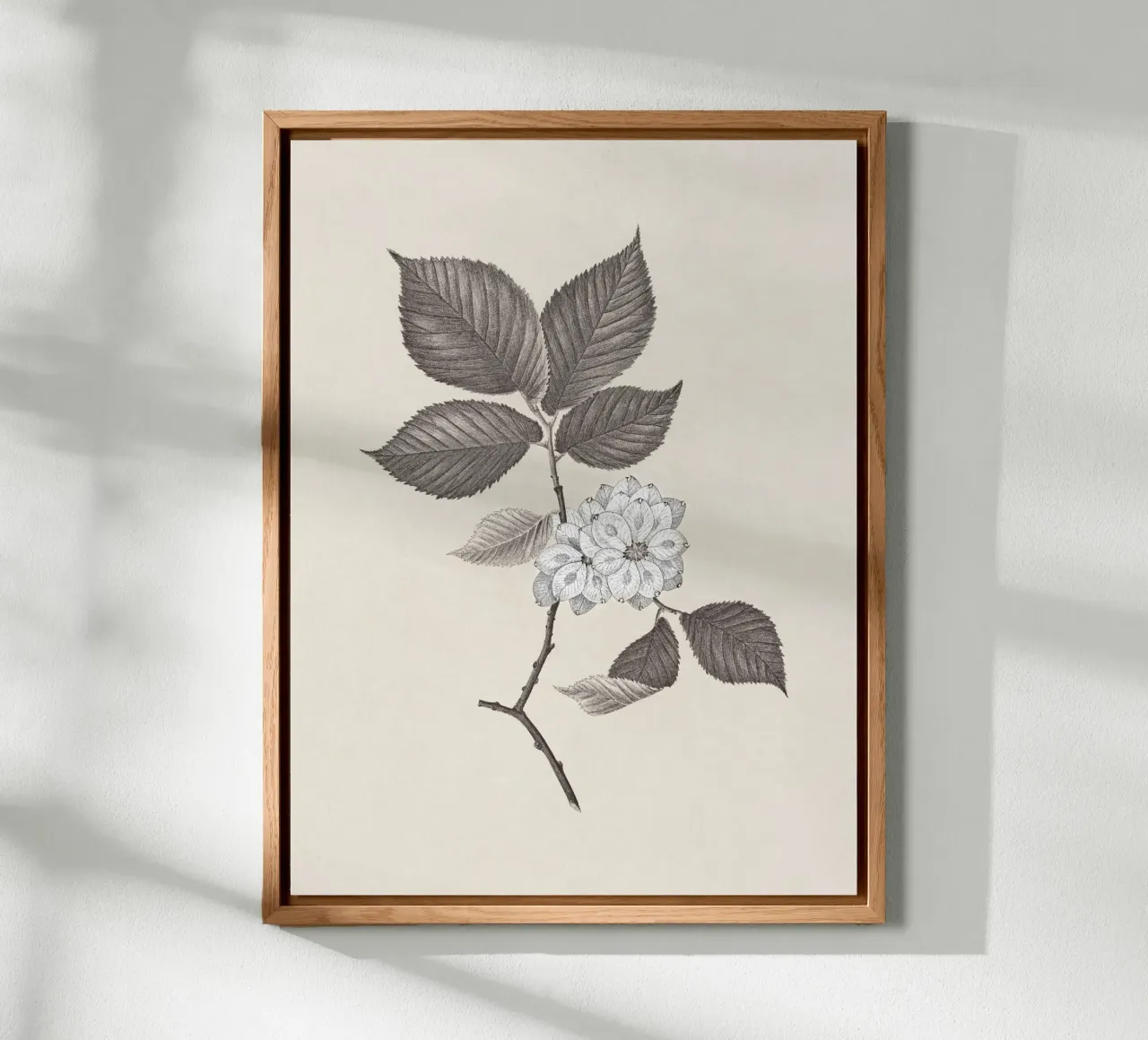 Elm Branch Sketch no. 2 alluminio dibond da apoloprints