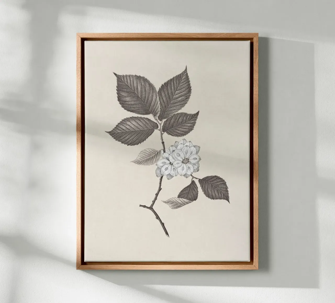 Elm Branch Sketch no. 2 tela da apoloprints