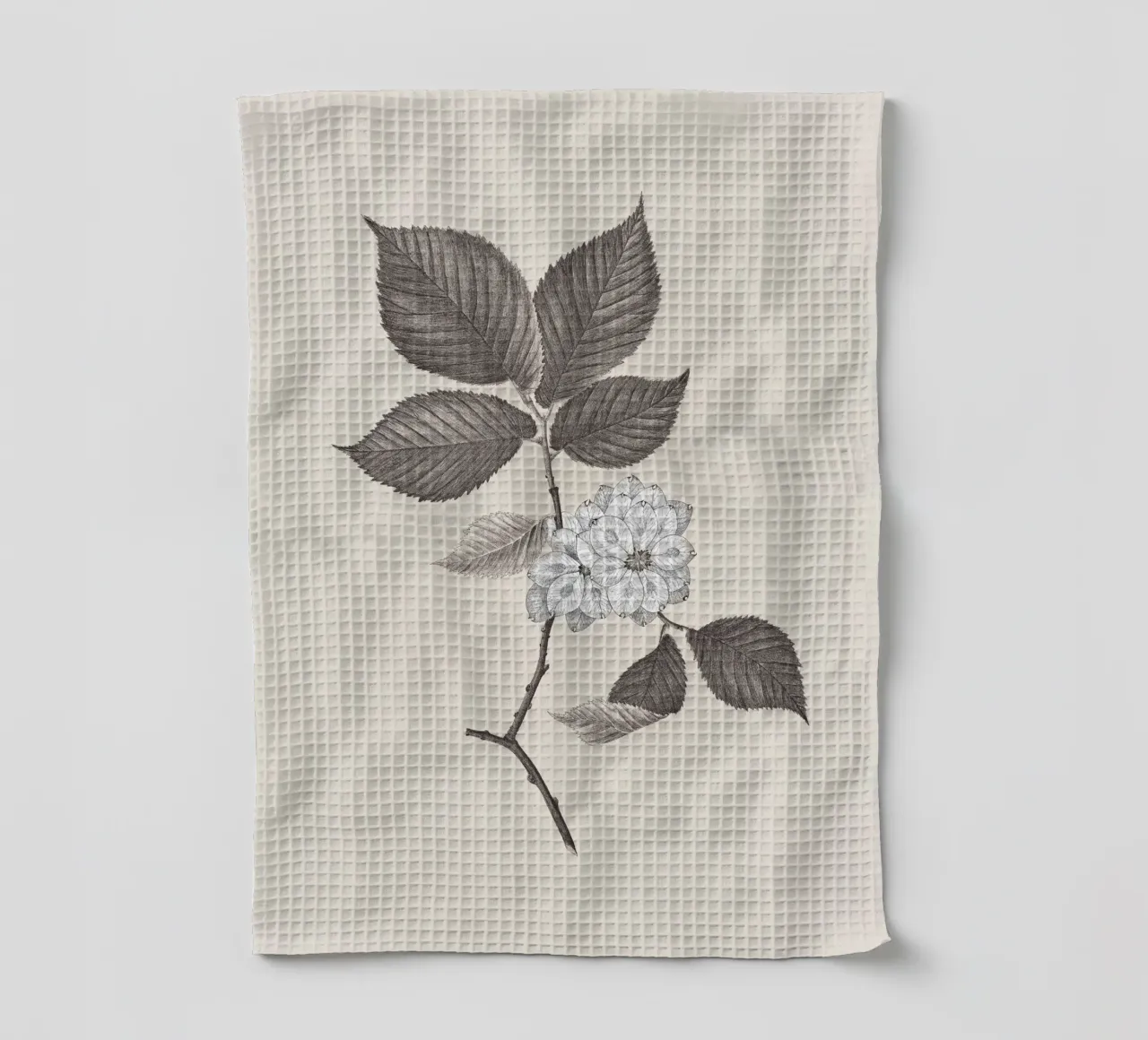 Elm Branch Sketch no. 2 canovaccio da cucina da apoloprints